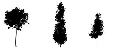 Beyaz arka planda izole edilmiş ağaçlar. Vektör illüstrasyonu.