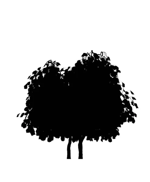 Silueta Stromu Izolované Bílém Pozadí — Stock fotografie