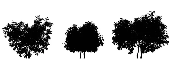 Векторная Иллюстрация Дерева Белом Фоне — стоковое фото