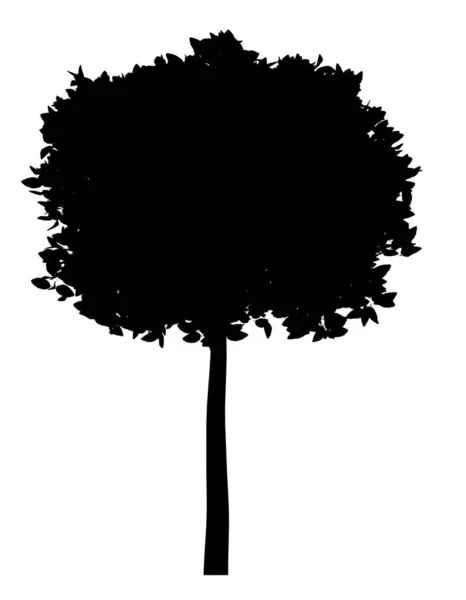 白い背景に隔離された木の黒いシルエット — ストック写真