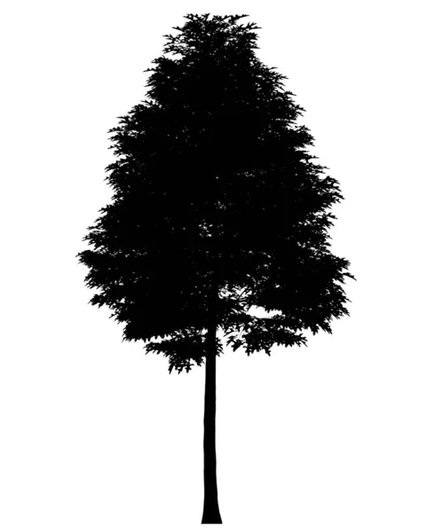 白い背景に隔離された木のシルエット — ストック写真