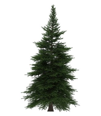 Yeşil Çam, beyaz arka planda izole edilmiş Noel ağacı. Sancak tasarımı, 3B illüstrasyon