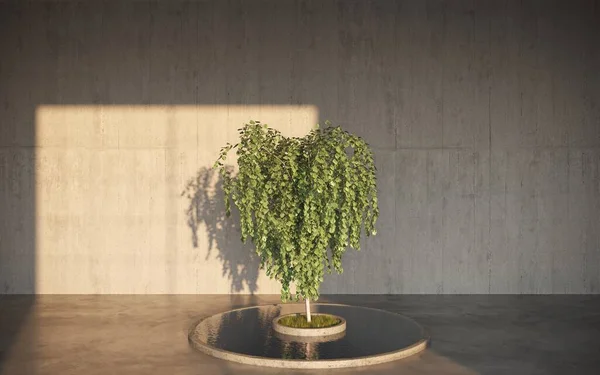 灰色の壁の背景のセメント鍋で成長している緑の装飾的な木 3Dイラスト — ストック写真