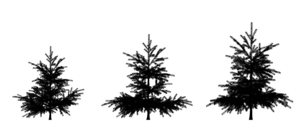 Silhouette Nera Pino Alberi Natale Isolati Sfondo Bianco Banner Design — Foto Stock