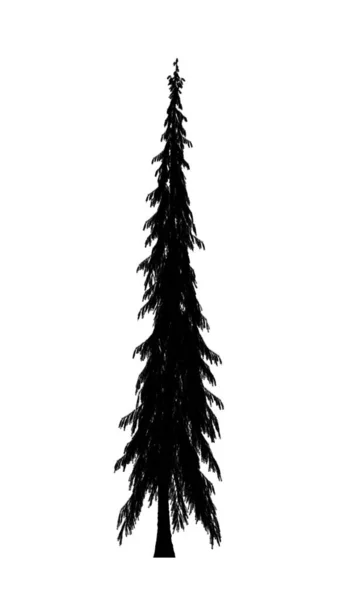 Schwarze Silhouette Der Kiefer Weihnachtsbaum Isoliert Auf Weißem Hintergrund Bannerdesign — Stockfoto