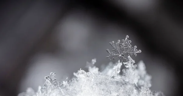 雪地里美丽的冰晶 圣诞节和冬天的背景 — 图库照片