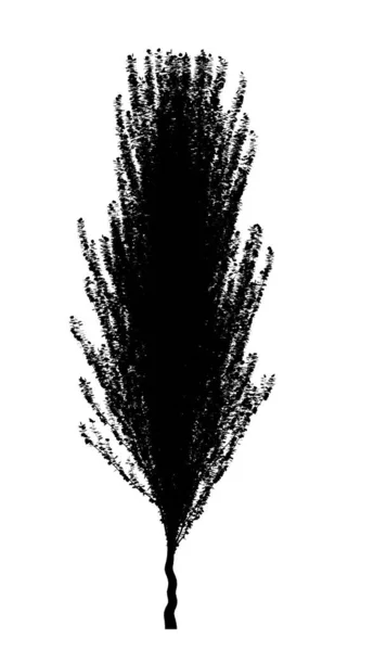 Silhouette Nera Albero Deciduo Sfondo Bianco Elemento Giardino Isolato Illustrazione — Foto Stock