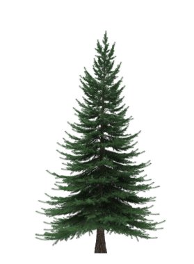 Yeşil Çam, beyaz arka planda izole edilmiş Noel ağacı. Sancak tasarımı, 3B illüstrasyon