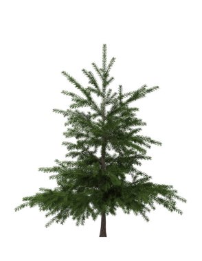 Yeşil Çam, beyaz arka planda izole edilmiş Noel ağacı. Sancak tasarımı, 3B illüstrasyon