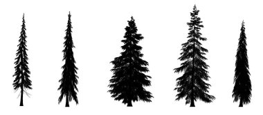 Siyah çam silueti, beyaz arka planda izole edilmiş noel ağaçları. Sancak tasarımı, 3B illüstrasyon