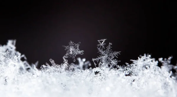 Cristal Gelo Bonito Neve Natal Fundo Inverno — Fotografia de Stock