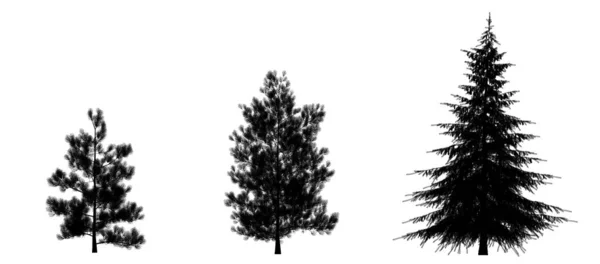 松の黒いシルエット 白い背景に隔離されたクリスマスツリー バナーデザイン 3Dイラスト — ストック写真