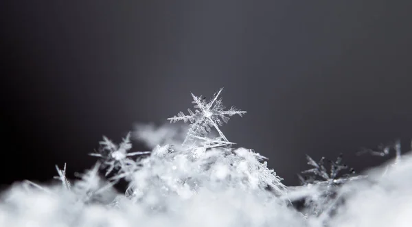 Vacker Kristall Snön Jul Och Vinter Bakgrund — Stockfoto