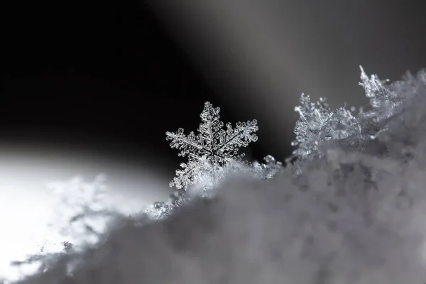 Beautiful Ice Crystal Snow Christmas Winter Background — Stock Photo, Image