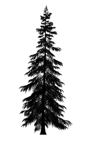 Siluet Hitam Pinus Pohon Natal Terisolasi Pada Latar Belakang Putih — Stok Foto