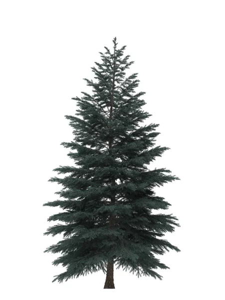 Pinheiro Verde Árvore Natal Isolada Fundo Branco Design Banner Ilustração — Fotografia de Stock