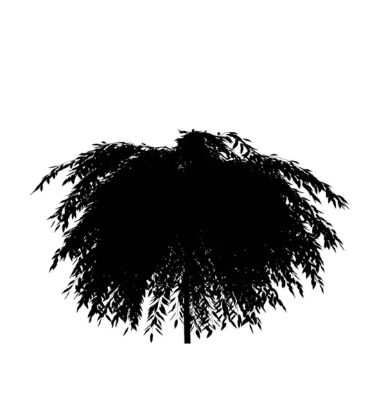 Silhouette Nera Albero Deciduo Sfondo Bianco Elemento Giardino Isolato Illustrazione — Foto Stock