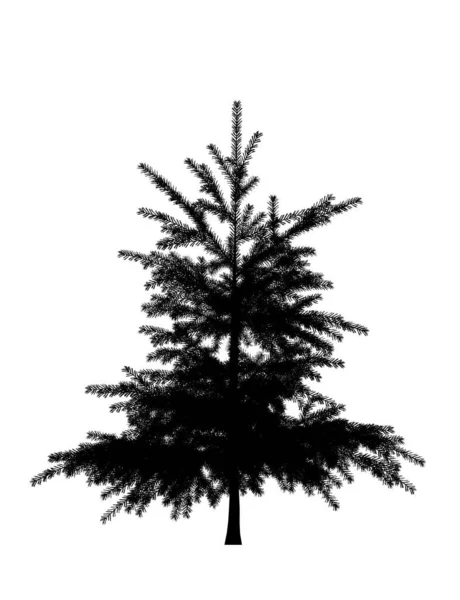 松树的黑色轮廓 白色背景下孤立的圣诞树 横幅设计 3D插图 — 图库照片