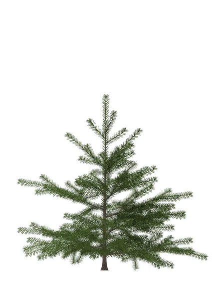 Πράσινο Πεύκο Χριστουγεννιάτικο Δέντρο Απομονωμένο Λευκό Φόντο Σχεδιασμός Banner Εικονογράφηση — Φωτογραφία Αρχείου