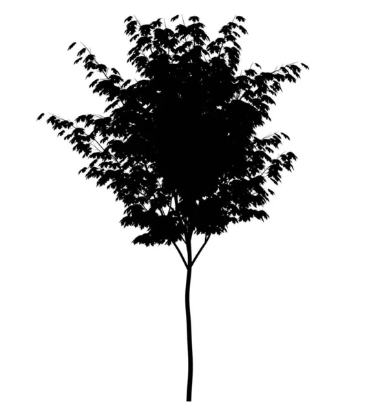 白色背景上落叶树的黑色轮廓 孤立花园元素 3D插图 Cg渲染 — 图库照片