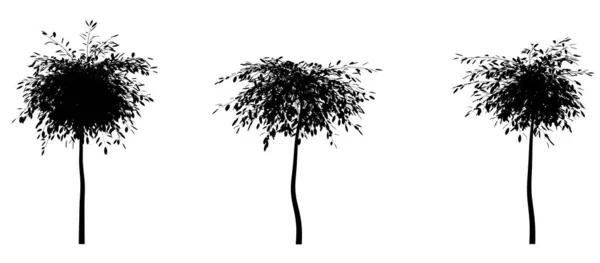 Black Silhouette Deciduous Trees White Background Isolated Garden Element Illustration — Stock Photo, Image