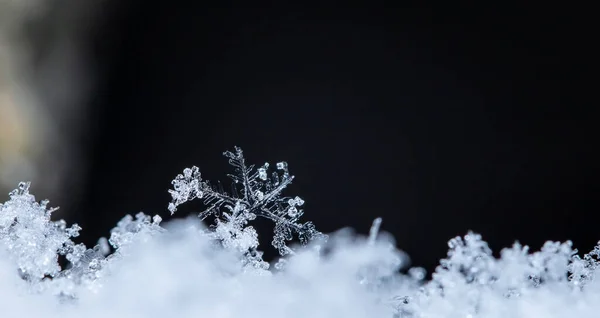 Prachtig Ijskristal Sneeuw Kerstmis Winter Achtergrond — Stockfoto