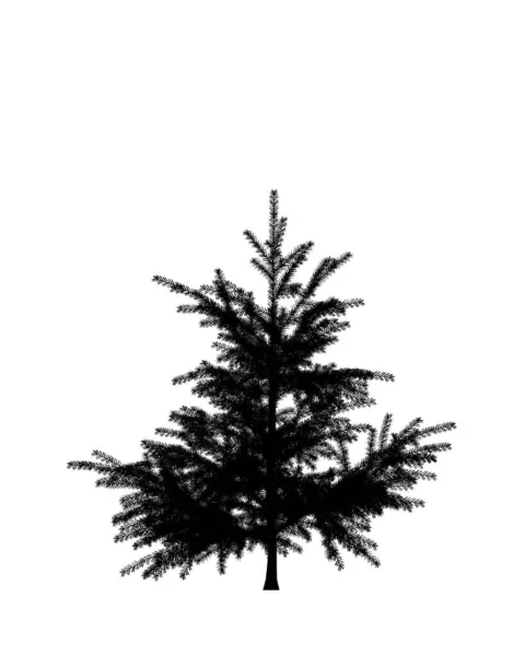 Fekete Sziluett Fenyő Karácsonyfa Elszigetelt Fehér Háttérrel Banner Design Illusztráció — Stock Fotó