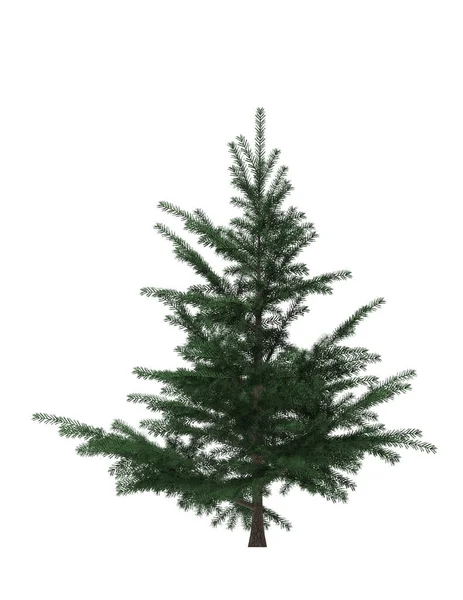 緑の松 白い背景に隔離されたクリスマスツリー バナーデザイン 3Dイラスト — ストック写真