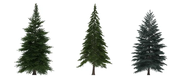 Grüne Kiefern Weihnachtsbäume Isoliert Auf Weißem Hintergrund Bannerdesign Illustration Stockbild