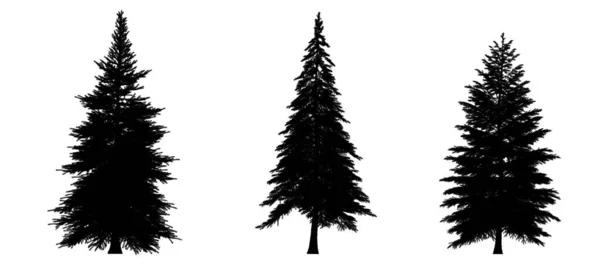 Black Silhouette Pine Christmas Trees Isolated White Background Banner Design — Stock Photo, Image