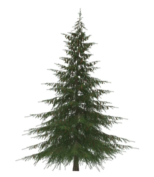 Green Pine Christmas Tree Isolated White Background Banner Design Illustration — Stock Photo, Image