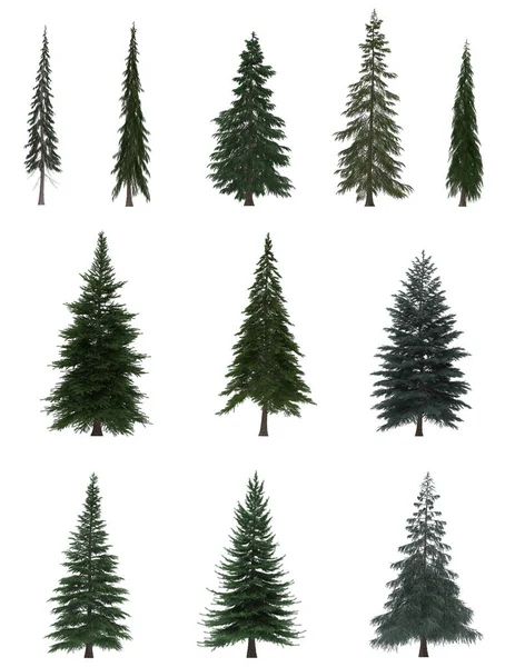 Green Pine Pohon Natal Terisolasi Dengan Latar Belakang Putih Desain Stok Foto Bebas Royalti