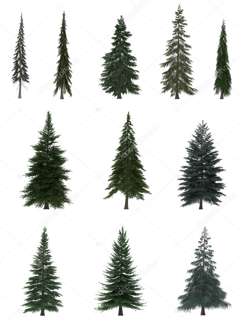 Green Pine, christmas trees isolated on white background. Banner design, 3D illustration