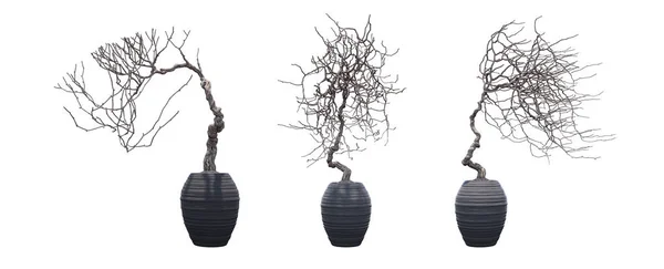 Uppsättning Dekorativa Vaser Och Träd — Stockfoto