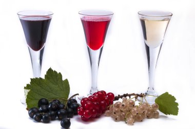 Beyaz kırmızı ve Dan koyu siyah üzümlü, dallı ve yapraklı ve beyaz arka planda üç gözlüklü.