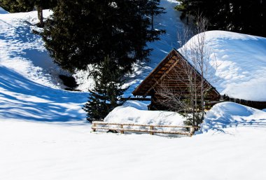Romantik ahşap kulübe derin karlı kış manzarasında Tirol 'de. Kabinin çatısında büyük bir kar var.