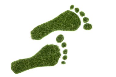 Ekolojik ayak izi kavramı olarak beyaz arka planda izole edilmiş iki yeşil çimen ayak izi
