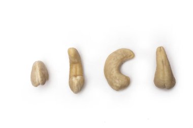 Beyaz arka planda izole edilmiş farklı taraflardan görülen dört fındığa yakın plan.