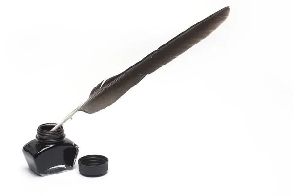 Close Natural Bird Feather Used Fountain Pen Writing Ink Dark — Stockfoto