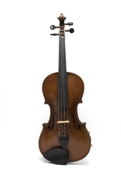 Wide Shot Whole Body Sound Body Strings Old Violin White — стоковое фото