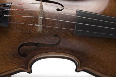 Close up of sound body and strings of old violin on white background