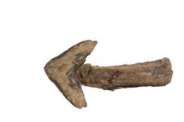 Eski yıpranmış ağaç kabuğunu kapatın. Bu ağaç kabuğu, beyaz zemin kavramının solunu işaret eden bir ok şeklini alır. Orijinal ok işareti olarak.