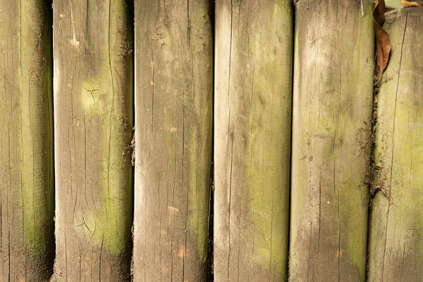 Close Several Chemically Treated Vertical Green Wooden Posts Side Side — Photo