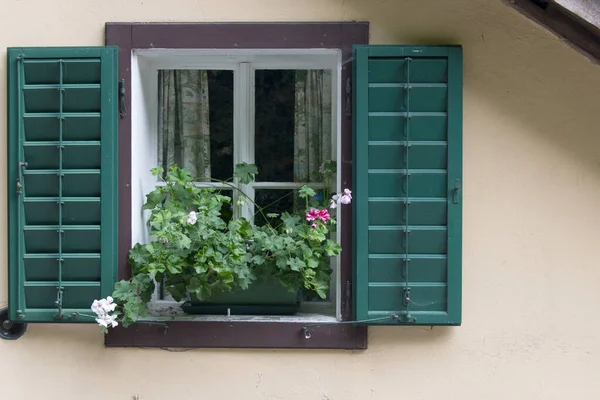 Nahaufnahme Von Ländlichen Rustikalen Hausfassade Zeigt Einladende Grüne Rahmen Seitentüren — Stockfoto