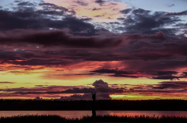Sunset over Lake Glebo. A wooden sculpture of a grass-snake with a crown. Lithuania. Summer sky