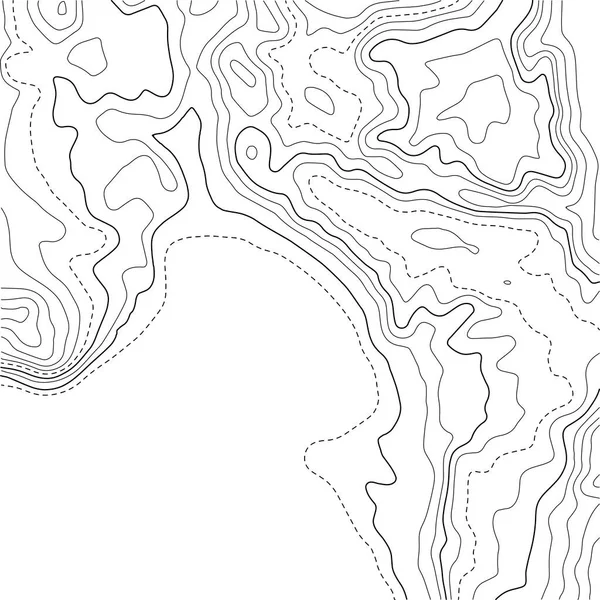 Mapa Topográfico Con Líneas Sobre Fondo Blanco Concepto Mapa Geográfico — Archivo Imágenes Vectoriales