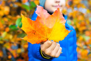 Oğlanın elinde sarı akçaağaç var. 