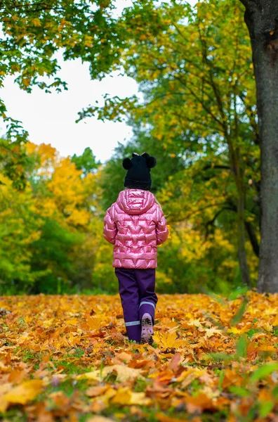 En flicka går genom parken av gula löv ligger på — Stockfoto