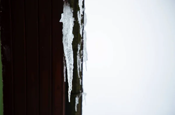 A big beautiful icicle hanging from the roof — Stock Photo, Image