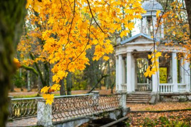 Eski hasarlı kahve pavyonu Sonbaharda